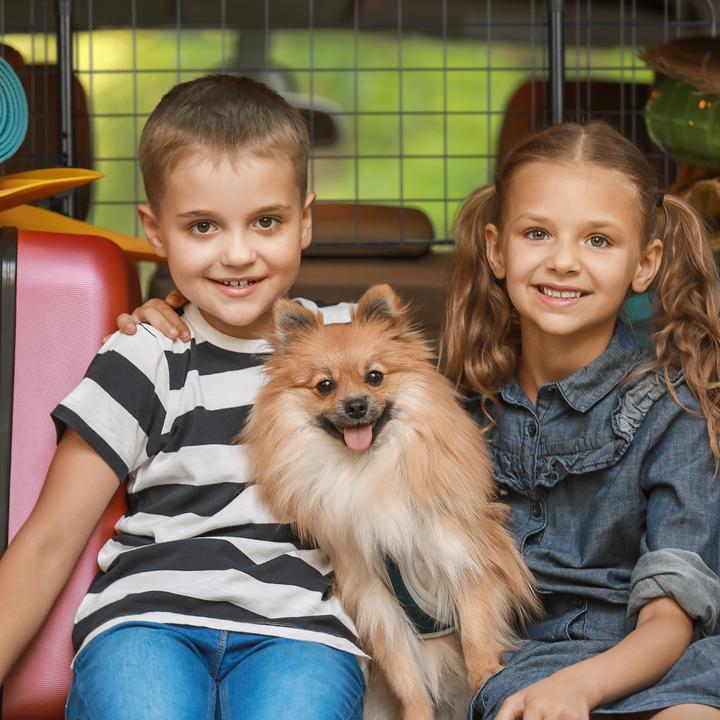 Actual product image Relaxdays Dog fence (Dog, Safety closure)
