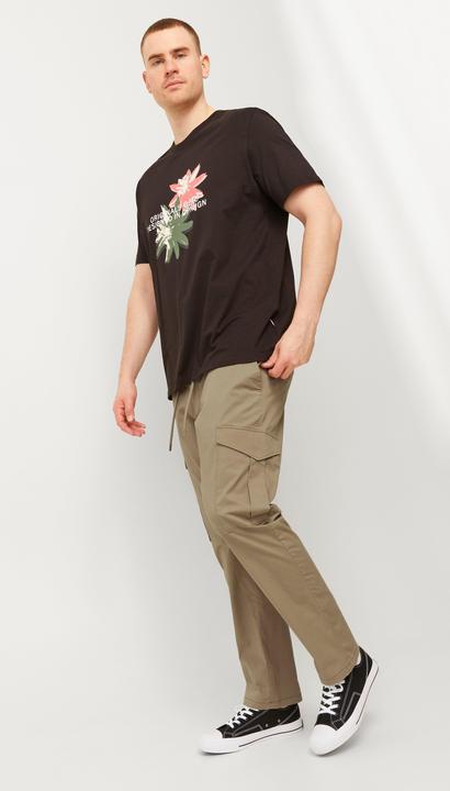 Image du produit Jack & Jones Jpstace Jjsummer Cargo Pls (W44/L34)