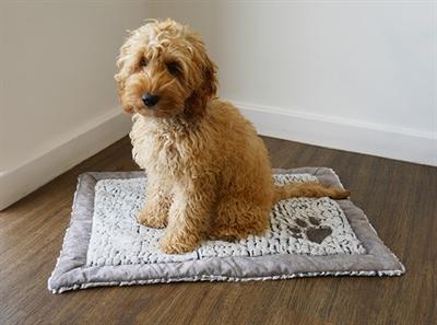 Immagine prodotto Rosewood Ponti in pile di lusso (Cane, Gatto)