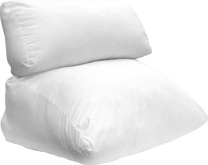 Dreamolino Flip Pillow