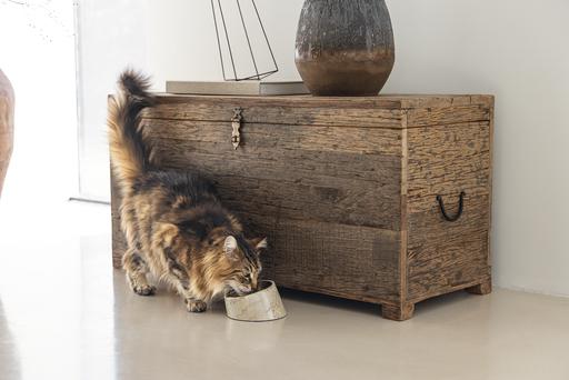 Image du produit Designed by Lotte Gamelle en mélamine chat Vita (0.16 l)