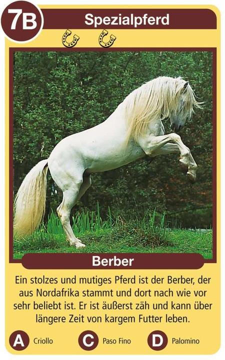 Immagine prodotto Ravensburger Cavalli Pony (Tedesco)