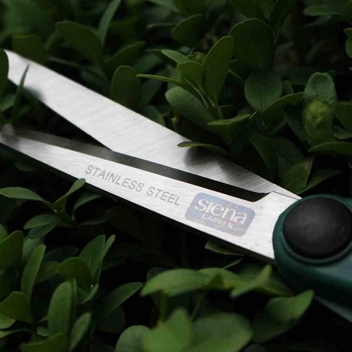 Immagine prodotto Siena Garden Siena Cesoie per topiaria CB2100 Lunghezza: 27 cm, con impugnatura morbida