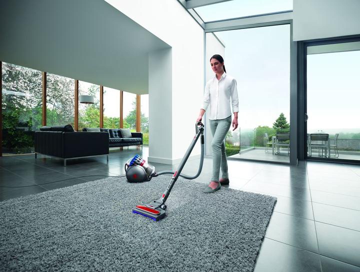 Actual product image Dyson Big Ball Allergy 2