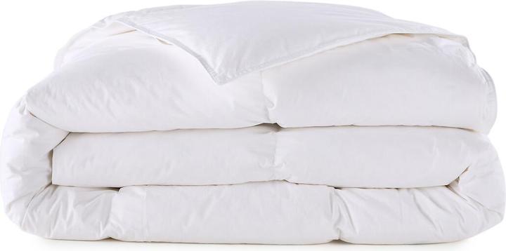 Immagine prodotto La Redoute Interieurs LRI 15% DUVET (200 x 210 cm)