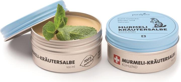 Produktbild Puralpina Murmeli-Kräutersalbe (1 x, 100 ml, 110 g)