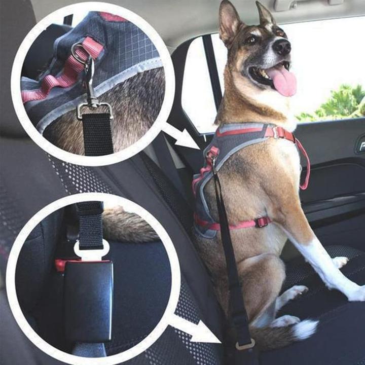 Immagine prodotto Hermex Cintura di sicurezza dell'auto del cane (Cane, Riflettori)
