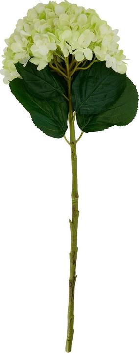 Actual product image Hill Interiors Hydrangea Artificial Flower (73 cm)