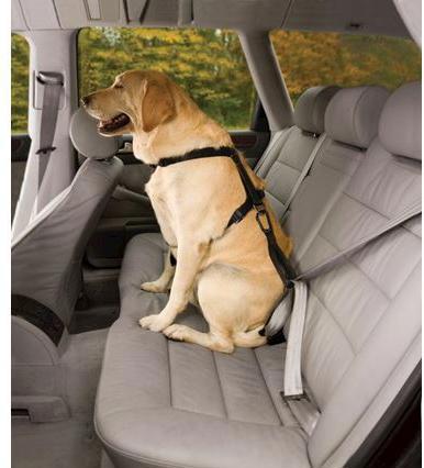 Produktbild Kurgo Tru-Fit (L, Hund, Allgemein)