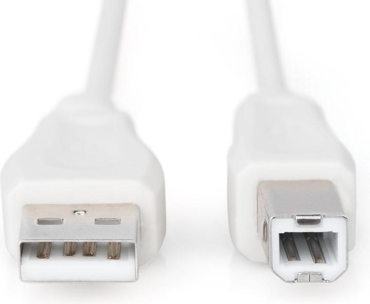 Produktbild Digitus ASSMANN USB2.0 Anschlusskabel 1,8m USB A zu USB B AWG28 beige bulk (1.80 m, USB 2.0)