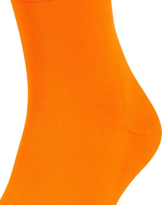 Produktbild Falke Run SO (Einzelpack, 42 - 43)