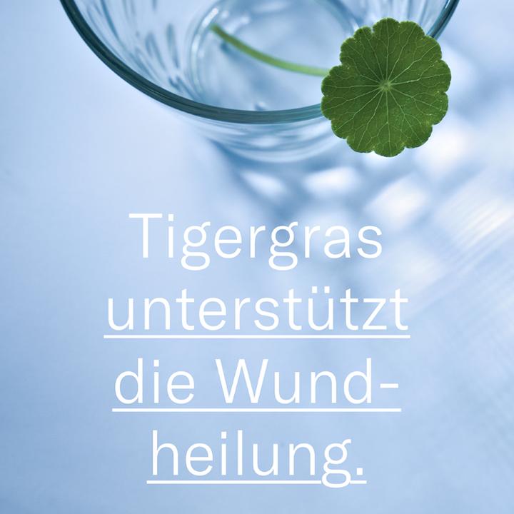 Produktbild Leti LETIbalm Nasen- und Lippenbalsam repariert und schützt, 10 ml Creme (10 ml)
