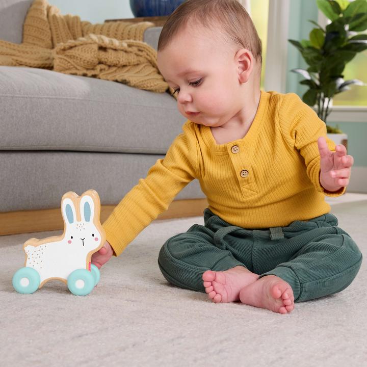 Produktbild Fisher-Price Holz-Schiebehäschen