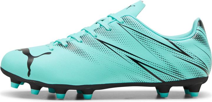 Produktbild Puma Attacanto FG/AG (43)