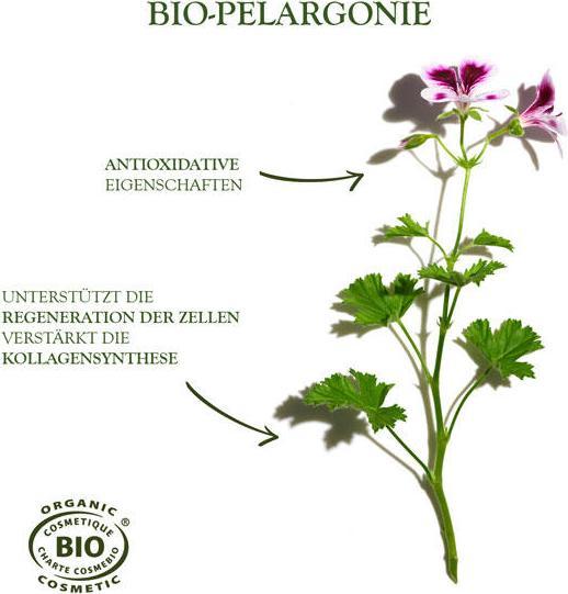 Image du produit Sanoflore Crème merveilleuse (40 ml, Crème 24h)
