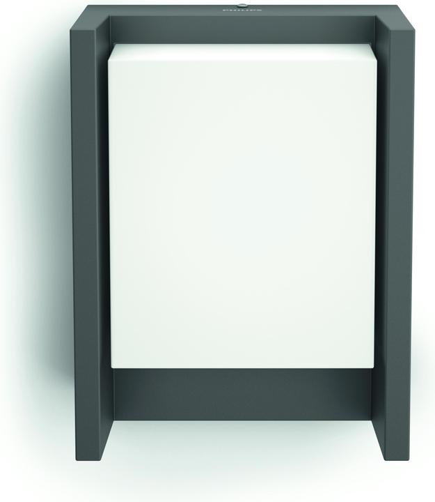 Image du produit Philips Tonnelle (600 lm)