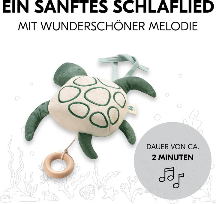 Produktbild Hauck Cuddle N Sleep Turtle