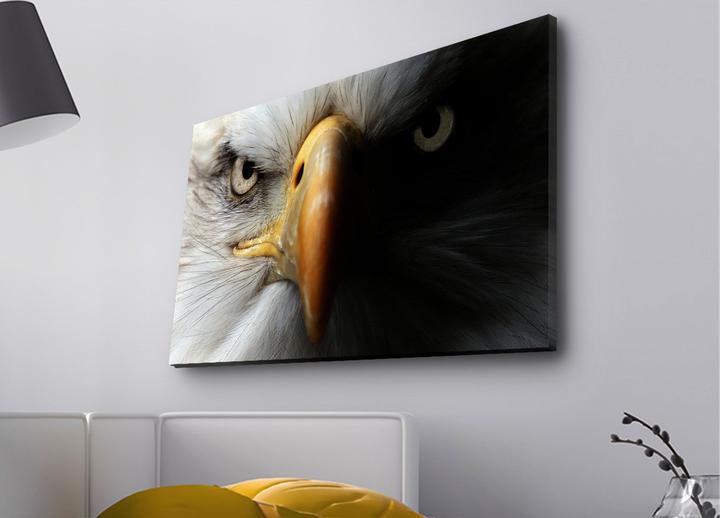 Produktbild Wallxpert Melina (45 x 70 cm)