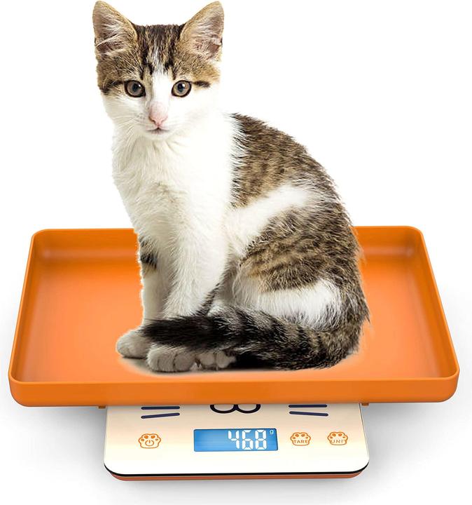 Icare Pet Écailles d'animaux (Chat, Reptiles, Poisson)