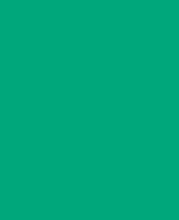 Immagine prodotto Mucki Vernice artigianale (Verde, 250 ml)