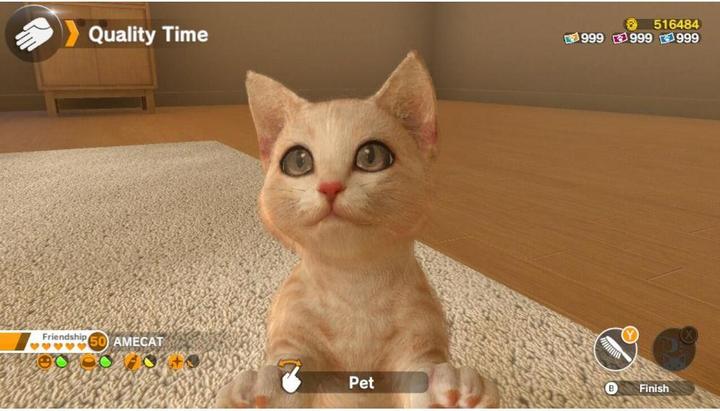 Actual product image Sold Out Little Friends: Dogs and Cats (Switch, Switch Lite, Switch OLED, DE)