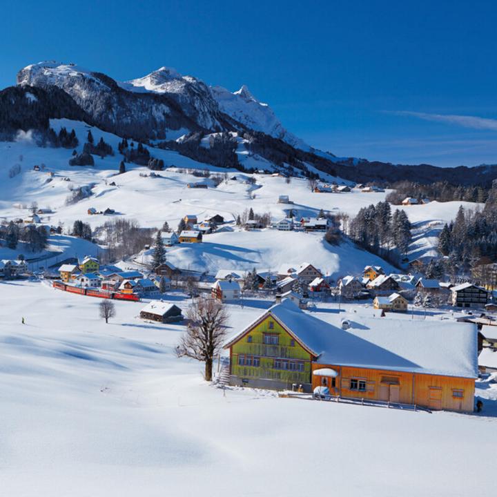 Image du produit Mini-Swiss 2026 (Couverture rigide, Français, Anglais, Allemand, Italien)