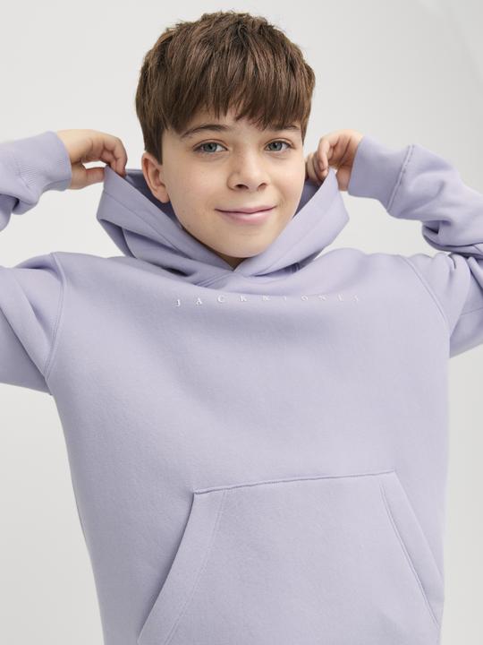Produktbild Jack & Jones Jjestar Jj Sweat Hood Noos Jnr (176)