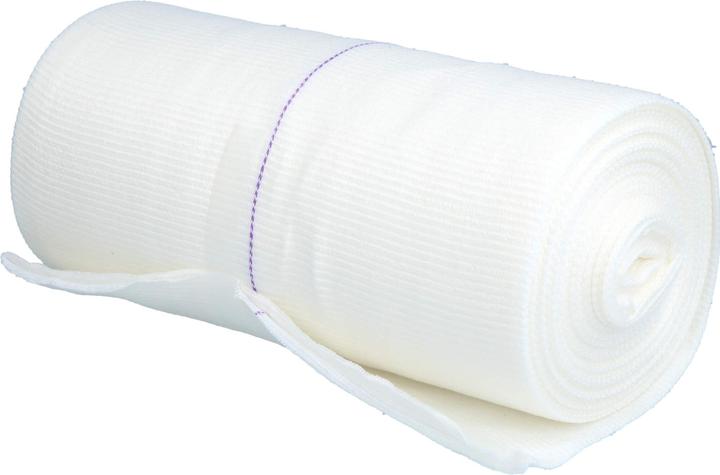 Image du produit Mölnlycke Schlauchbandage 20cmx10m violett