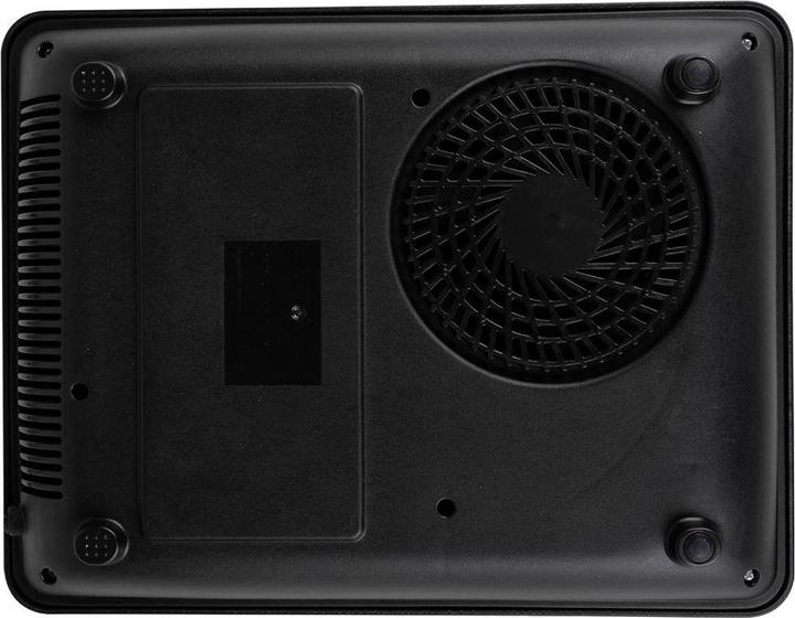 Actual product image alpina Induction cooker