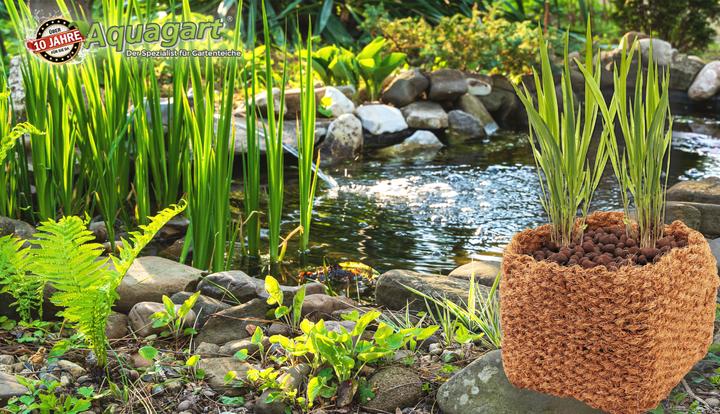 Produktbild Aquagart 3 Kokos Panzkorb 20 x 20 x 15cm Teichkorb für Ufermatte & Böschungsmatte (20 cm)