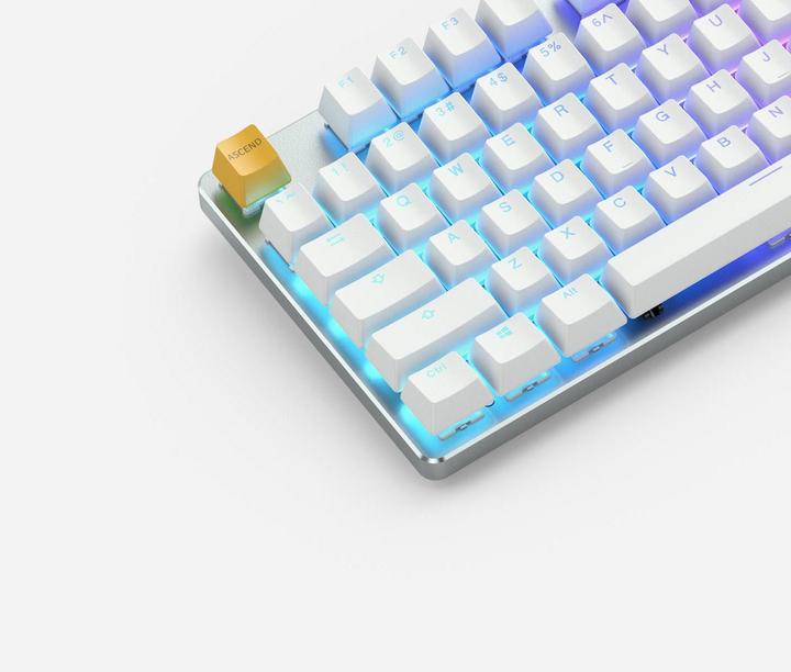 Produktbild Glorious PC Gaming Race PC Gaming Race GMMK Full Size White Ice Edition - Gateron-Brown, USA-Layout (US, Kabelgebunden)