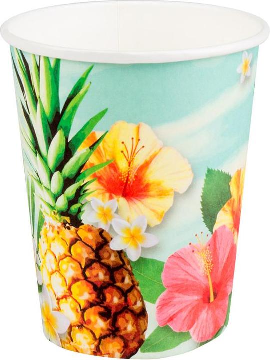Actual product image Boland 10 paper cups Paradise Hawaii 210ml (10 x)