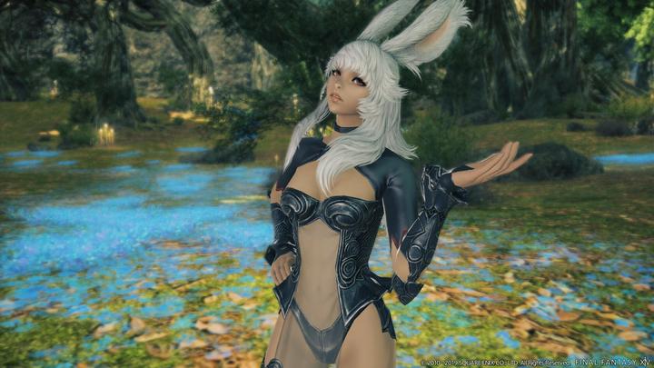 Actual product image Square Enix Final Fantasy XIV: Shadowbringers PS4 (PS4, DE)