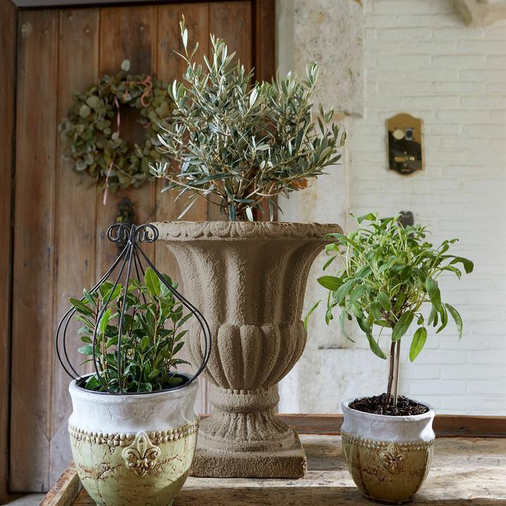 Produktbild Loberon Lachamp (38 cm)