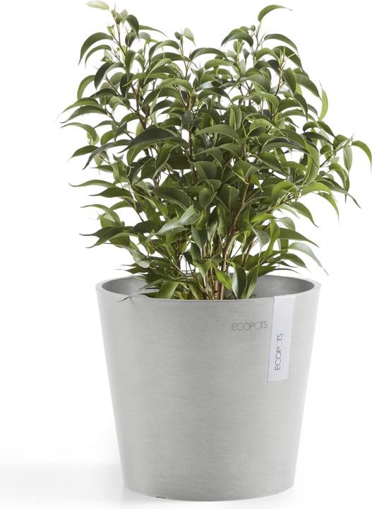 Actual product image Ecopots Amsterdam Mini (17 cm)