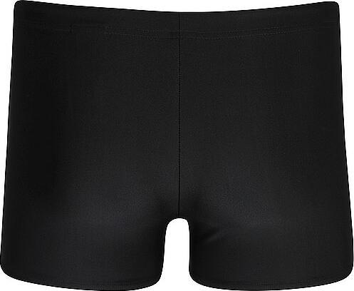 Actual product image Speedo Medley Logo Aquashort (38)