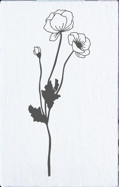 Produktbild May & Berry M&B Mohnblume