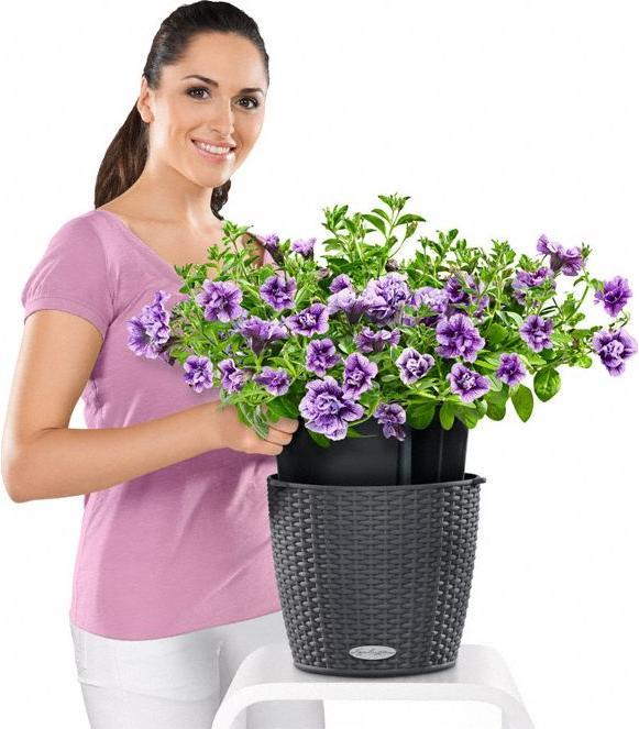 Actual product image Lechuza Nido Cottage (27 cm)