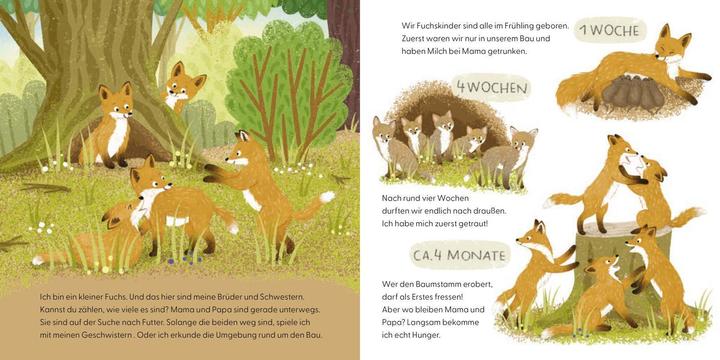 Actual product image Do you know me? I am a fox! (German)