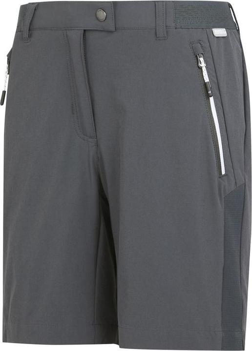 Actual product image Regatta Mountain Shorts II (L)