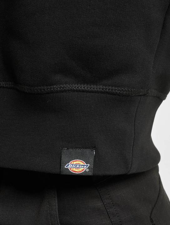 Immagine prodotto Dickies Felpa con cappuccio Loretto - 97077 (L)