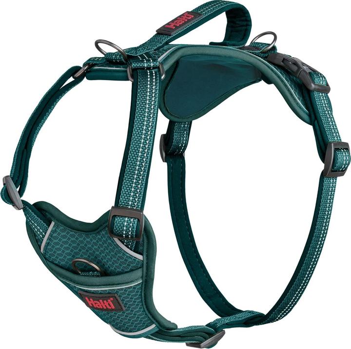 Actual product image Halti Anatomy Dog Harness (L, Dog)