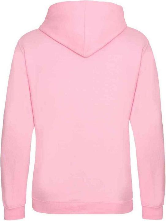 Actual product image Awdis Womens/Ladies Varsity Hoodie (XS)