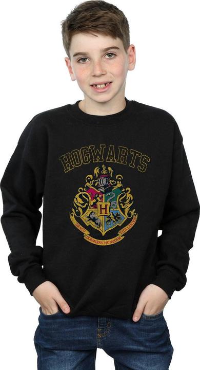 Produktbild Varsity Style Crest Sweatshirt Jungen (152, 158)