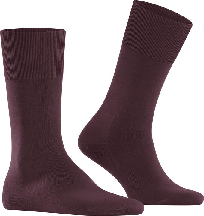 Actual product image Falke Clima Wool (Single pack, 39 - 40)