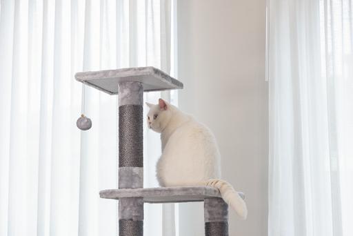 Produktbild Beeztees Figado (135 cm, Grey)