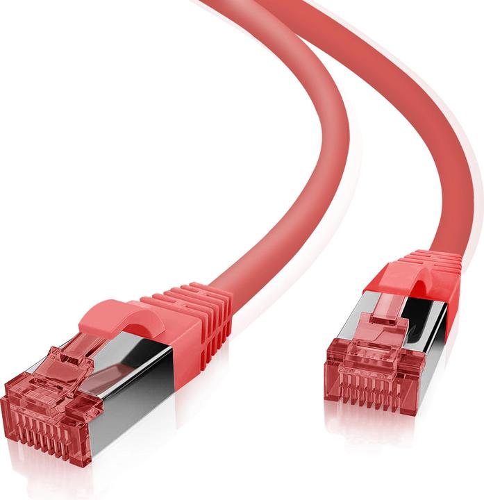 Rot
