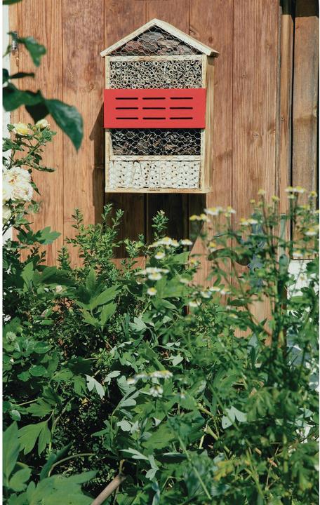 Produktbild Windhager 5 Sterne (Ohrwürmer, Florfliegen, Hummeln, Wildbienen, Marienkäfer)