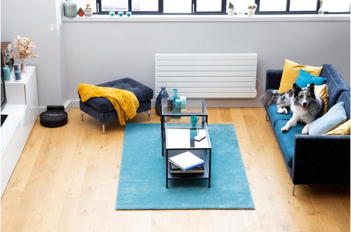 Productafbeelding Rowenta Explorer 80 Allergy Connect (Robotstofzuiger)