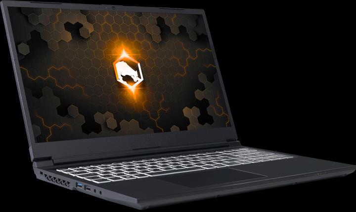 Actual product image Joule Performance ARGOS 15 RTX3060 I7 (15.60", Intel Core i7, 16 GB, DE)